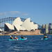 Sydney Harbour Highlights Kayak Tour