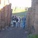 Small Group Giant\'s Causeway Day Tour from Belfast