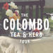 Private Day Tour: Colombo Tea and Herb Tour