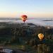 Private Balloon Flight and Wine Tour