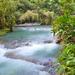 Ocho Rios Highlight Tour Including Dunn's River Falls