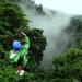 Full Day Class II-III Rafting and Zipline Tour from La Fortuna-Arenal
