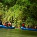 Nature Wildlife Safari Float Tour from La Fortuna-Arenal