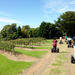 Coolangatta Vineyard Segway Tour