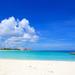 Private Half-Day Sighseeing and Beach Charter in Nassau