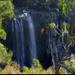 Byron Bay Hinterland Tour Including Rainforest Walk to Minyon Falls
