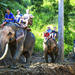 Full Day Elephant Ride and Rafting Adventure Combo from Chiang Mai