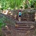 Ancient Oahu Circle Island Tour From Waikiki