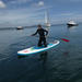 Helford River 2-hour Stand Up Paddle Boarding Tour in Falmouth