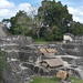 Full-Day Trip to Tikal