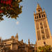 Seville in a Day: Private Tour