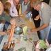 Cooking Classes in Tuscany Among the Chianti Vineyards