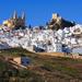 White Villages: Guided Day Trip from Seville