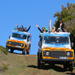 Half-Day or Full-Day Jeep Safari Tours 