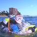Dive Propulsion Vehicles for Certified Divers Maui Hawaii