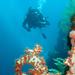 3-Day PADI Open Water Scuba Diving Certification Course in Bali