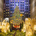NYC Tree Lighting Gala at Rockefeller Center