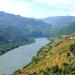 Full-Day Tour of the Astonishing Douro Wine Region with Lunch and Wine Tasting