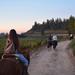 Horseback Wine Tour and Country Grill from Santiago