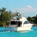 Punta Cana Private Yacht Charter