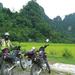 Daily Hanoi Motorbike Tour to Duong Lam Village and Pagodas