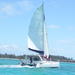 Full-Day Catamaran Cruise on BlueAlize to Ile-Aux-Cerfs from Trou d'Eau Douce