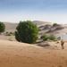 Desert Safari Private Tour With Emirati Dinner From Abu Dhabi
