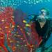 PADI Open Water Scuba Diving Course in Bayahibe 