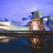 Guggenheim Museum Small-Group Private Guided Tour