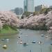 1-Day Tokyo Garden Tour including Breakfast and Lunch