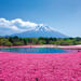 Day Trip to Lake Motosu Including Strawberry Picking from Tokyo