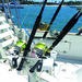 Private Punta Cana Deep-Sea Fishing Charter