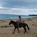 Punta Cana Horseback Riding on the Beach