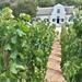 3 Wine Regions Private Guided Tour in Cape Town