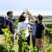 Small Group Tour Champagne Wine Tasting Departing from Epernay