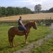 Private Tour: Normandy Thoroughbred Horse Studs with Optional Horseback Riding from Rouen