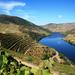 Douro Vinhateiro Full Day Guided Tour with Wine Tasting from Porto