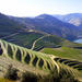 Full-Day Trip in Douro Valley with Lunch, traditional farm visit with tasting and Optional River Cruise