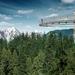 Vancouver Private Day Tour and Capilano Suspension Bridge