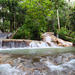 Private Tour to Dunn's River Falls