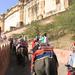 Private Jaipur City Highlights Tour with a visit to The Amber Fort and The City Palace