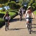 Constantia Wine Valley Bike Tour in Cape Town 