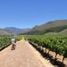 Franschhoek Vignerons Sip and Cycle Bike Tour from Cape Town