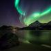 Northern Lights and Whale Safari by Catamaran from Tromso