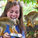 Monkeyland Safari and Zip Line Tour in Punta Cana