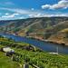 Douro Valley Guided Tour from Porto
