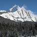 Learn to Cross Country Ski in the Canadian Rockies