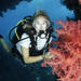 5 Day Dive Pack for Certified Divers