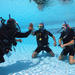 Open Water Course in Marsa Alam