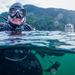 Scuba Diving in Howe Sound